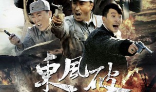 电视剧东风破演员阵容深度解析，表现与评价综述