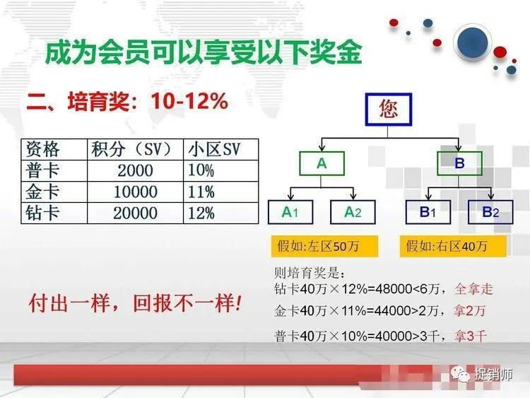 公司上市员工购原始股，冒险之旅开启，命运与梦想的交汇点