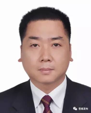 苍南干部调整信息4号,苍南干部调整信息4号——新一轮领导层调整动态