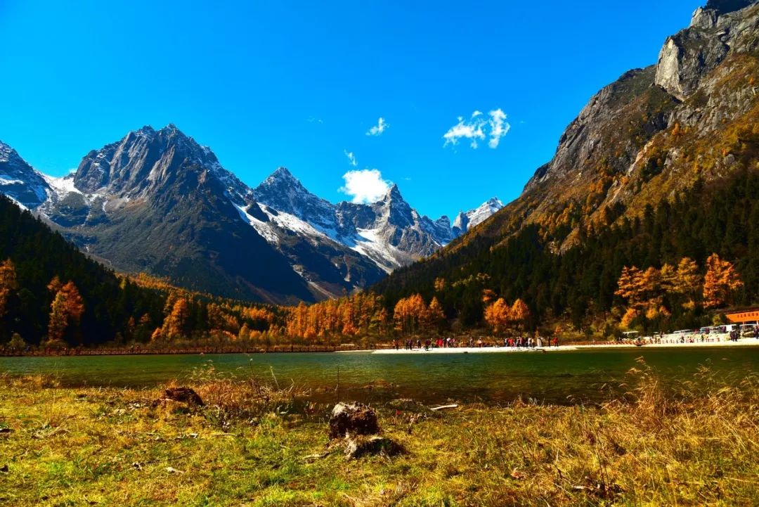 最新最美的风景，时代之光映照下的自然魅力