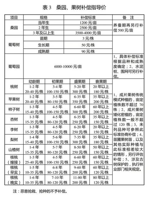 最新土地补偿政策下的独特小巷风情与隐藏小店探索揭秘