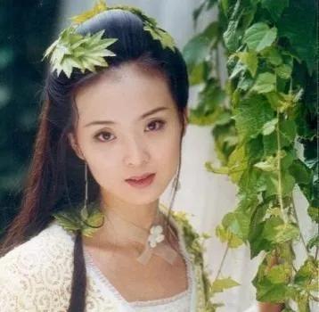 演员王艳，演艺生涯与魅力瞬间回顾的图片集萃