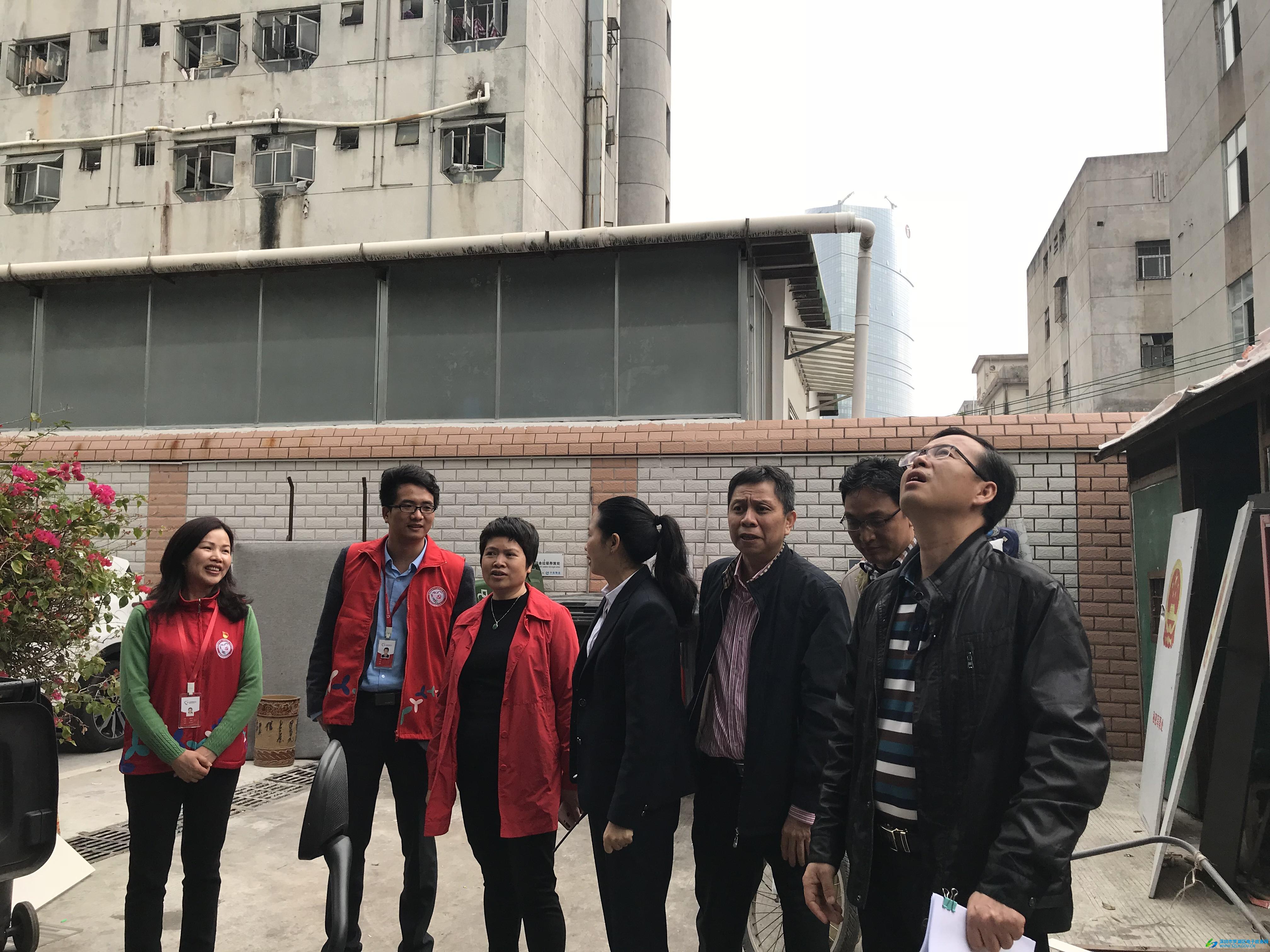 草社区最新动态揭秘，如何融入并参与社区发展的步伐