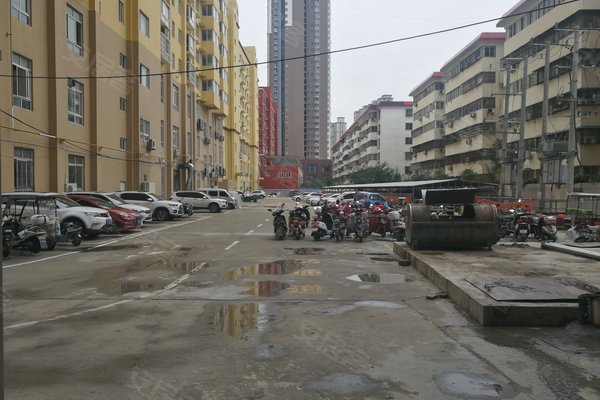 南阳瑞金福邸最新动态大全，全面指南与步骤详解