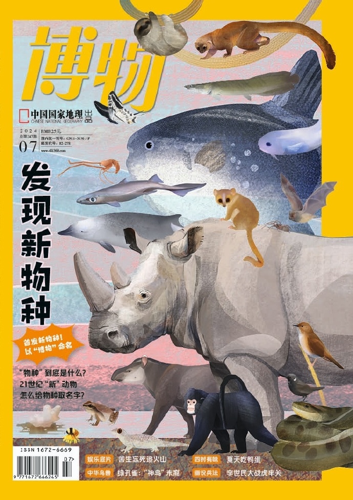 科技前沿三大热议话题，最新物类资讯引领潮流