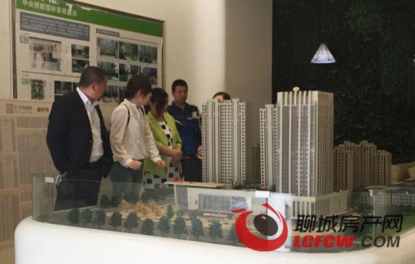 聊城楼市行情解析，购房时机的深度了解与把握策略