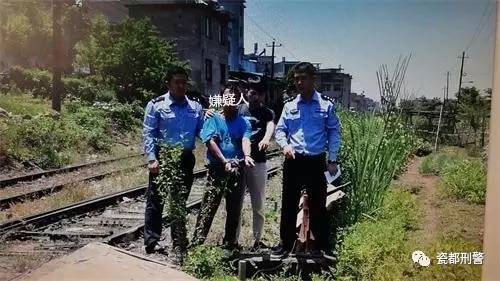 曲周最新命案引发全城震惊，真相调查揭秘背后故事