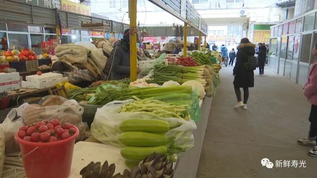 山东寿光蔬菜最新价格深度解析及市场行情分析