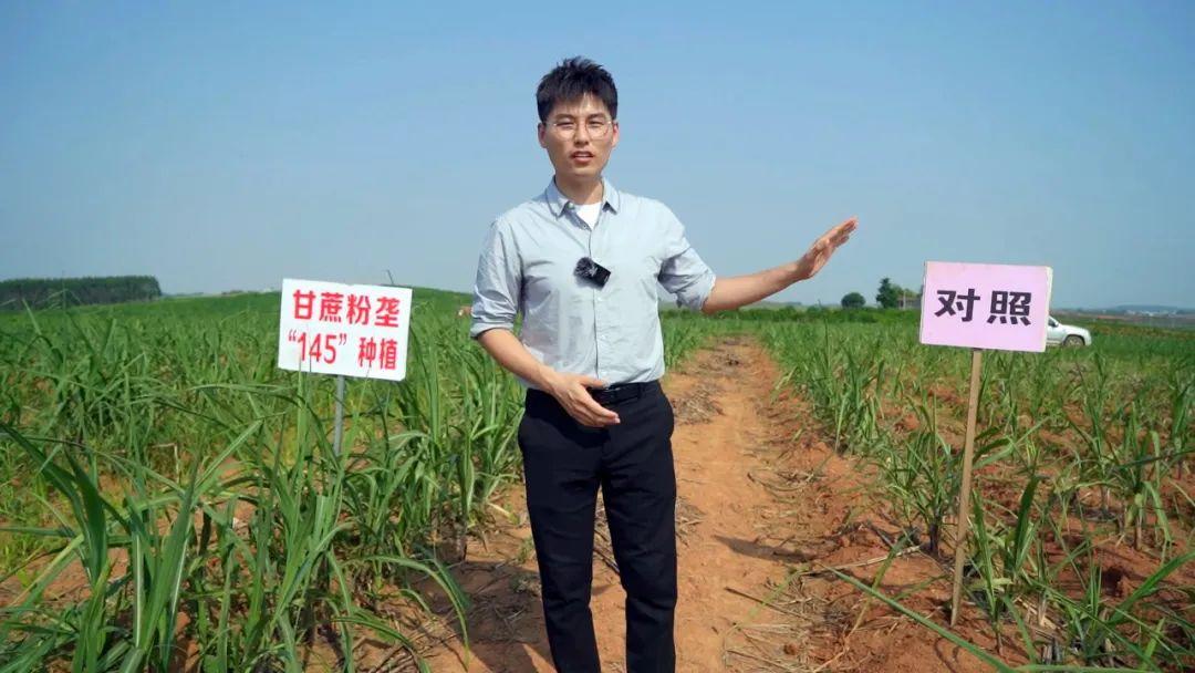 时代背景下的绿色革命，最新型农业的发展之路