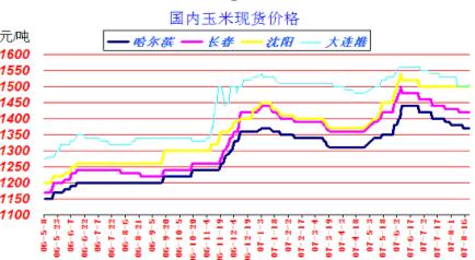 通化玉米最新价格动态及市场走势分析与展望