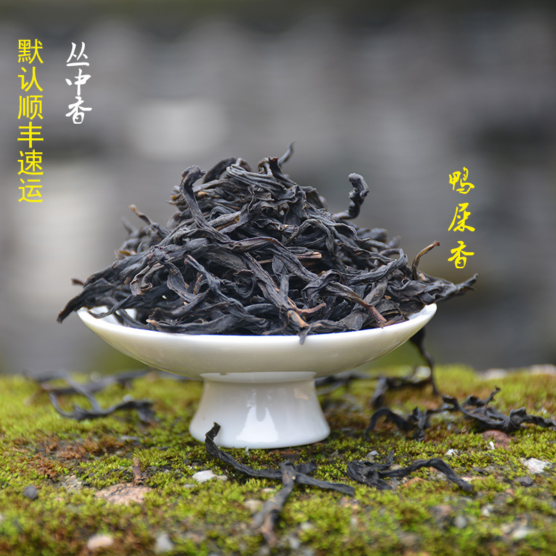 凤凰单丛茶价格揭秘，高品质茶的价值之旅探索
