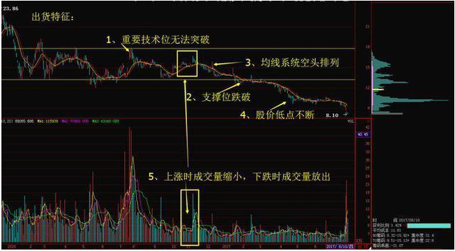 如新股价行情深度解析，回顾、洞察与预测。