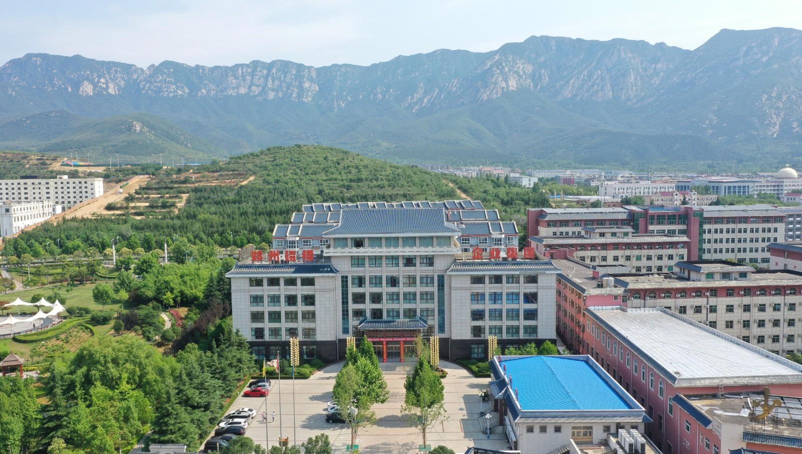 登封最新房地产项目概览