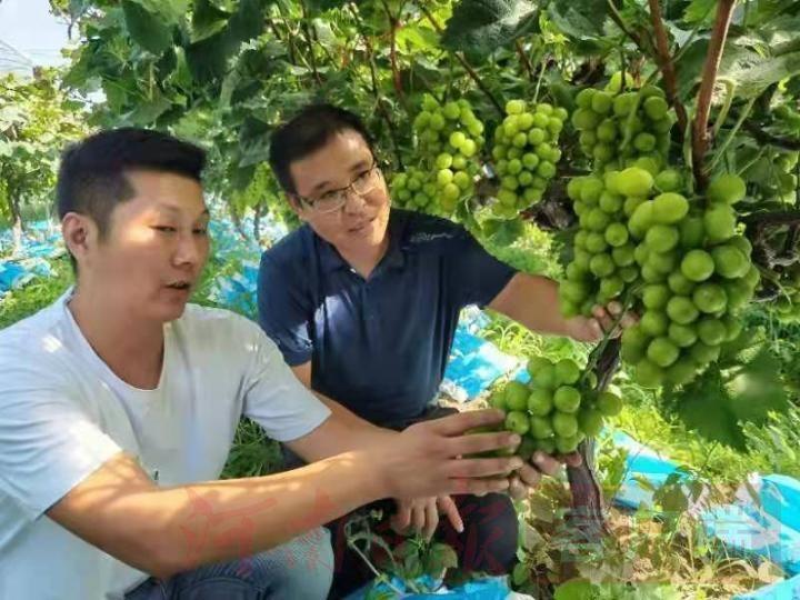轻质建筑材料销售 第98页