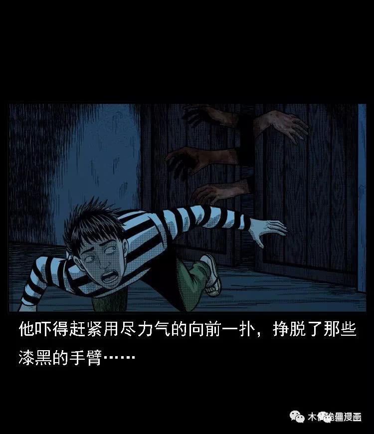 最新惊悚僵尸王剧，深度解析与探讨热议