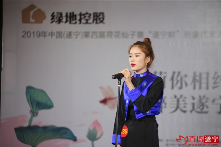 52度荷花酒价格表详解，深度分析与观点阐述