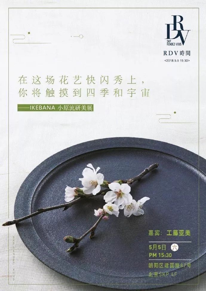 工藤美纱最新动态,工藤美纱最新动态，绽放的艺术之光