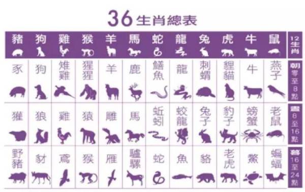 ＂2025十二生肖49个码＂的：具象化表达解说_改进版4.24