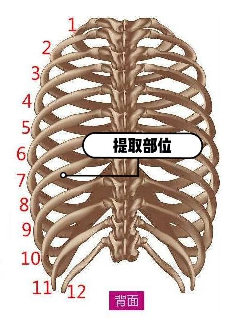 最新隆鼻材料盘点，时代之选，塑造完美鼻型的秘密武器