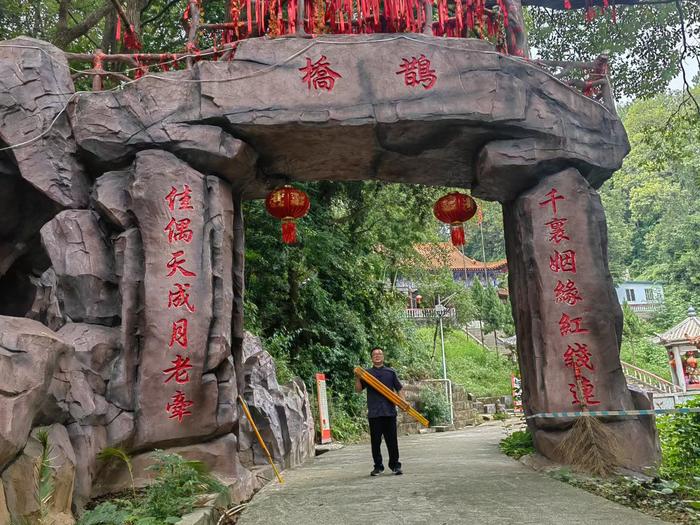 龚家龙最新动态揭秘，多维度视角下的深度观察与解析