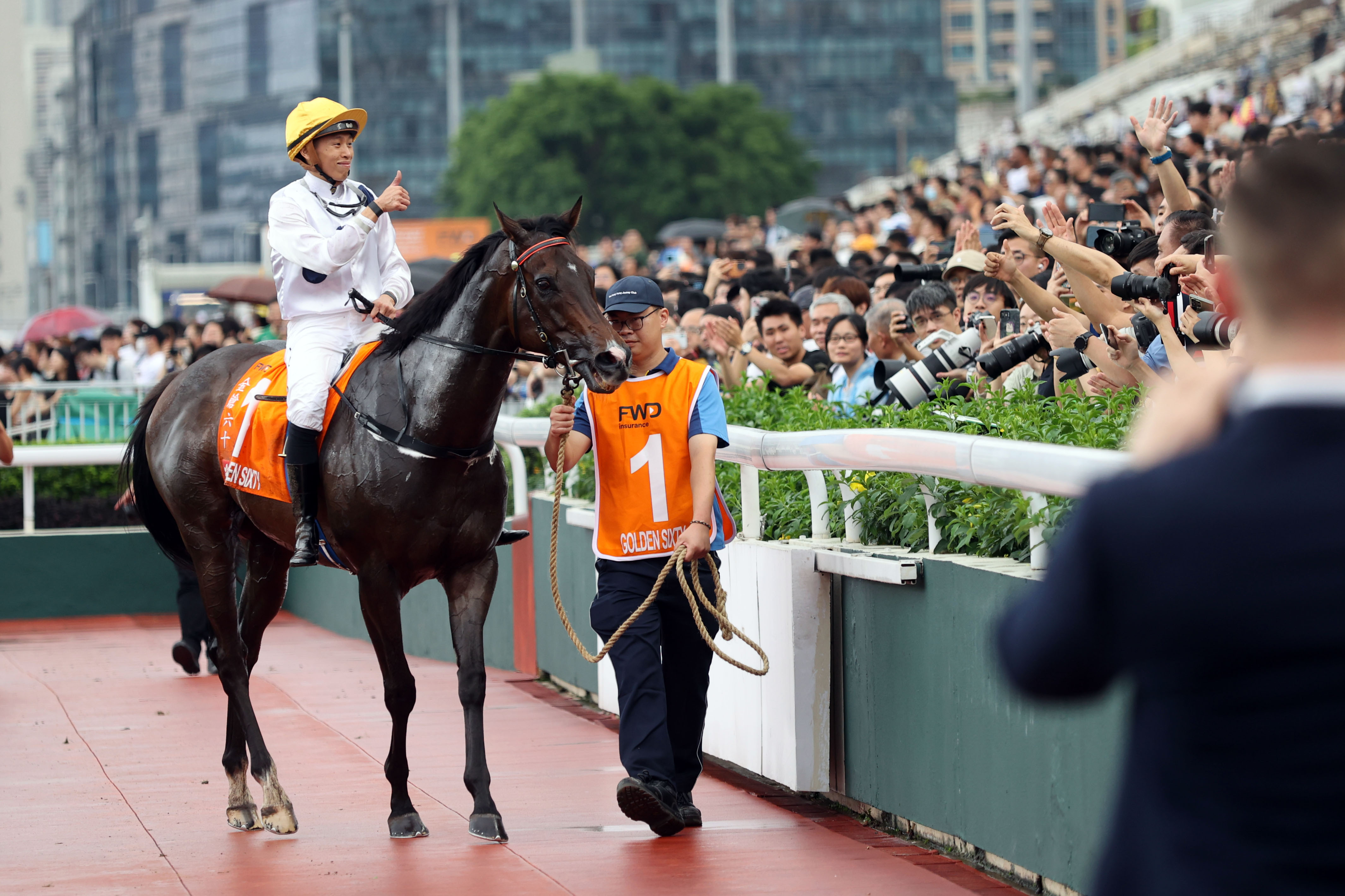 2025香港赛马全年免费资料,即时解答解析分析_精华版51.472