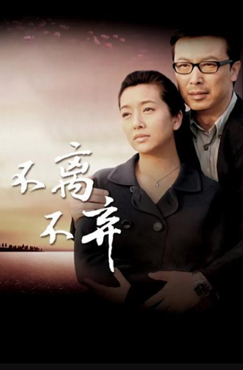 电视剧导演,电视剧导演，艺术创作的核心力量