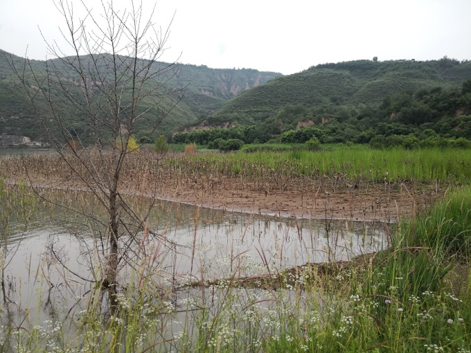 大坝沟门水库最新动态，科技引领，智能水库新篇章体验