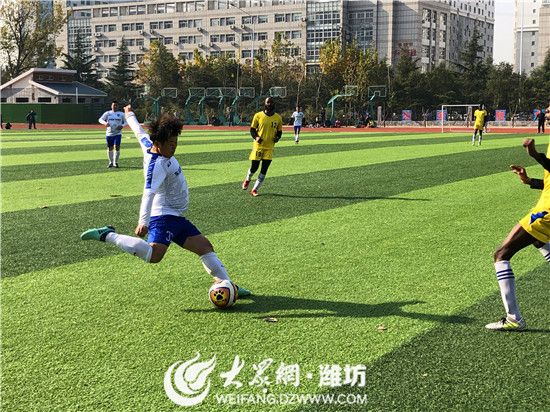 轻质建筑材料制造 第61页