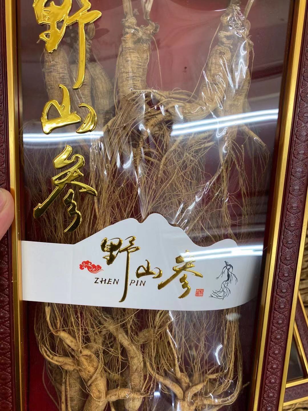 野山参市场行情深度解析，市场走势与价值探讨