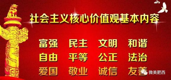 阳谷凤祥最新招聘信息与高科技产品介绍概览