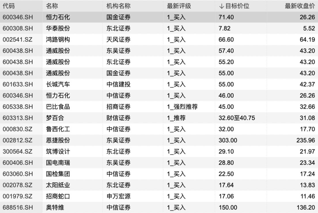 中国石油化工股票，时代印记与行业领先者的投资焦点