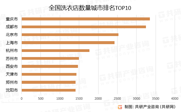 洗衣店行情深度剖析与解读