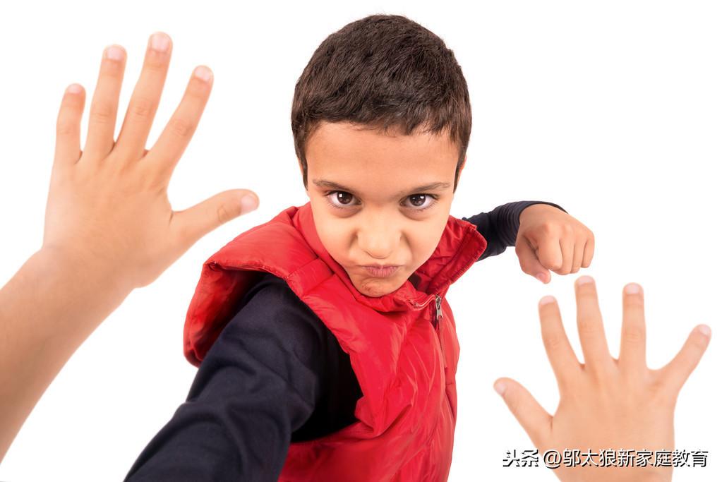 李念新电影作品，自然美景的治愈之旅探索