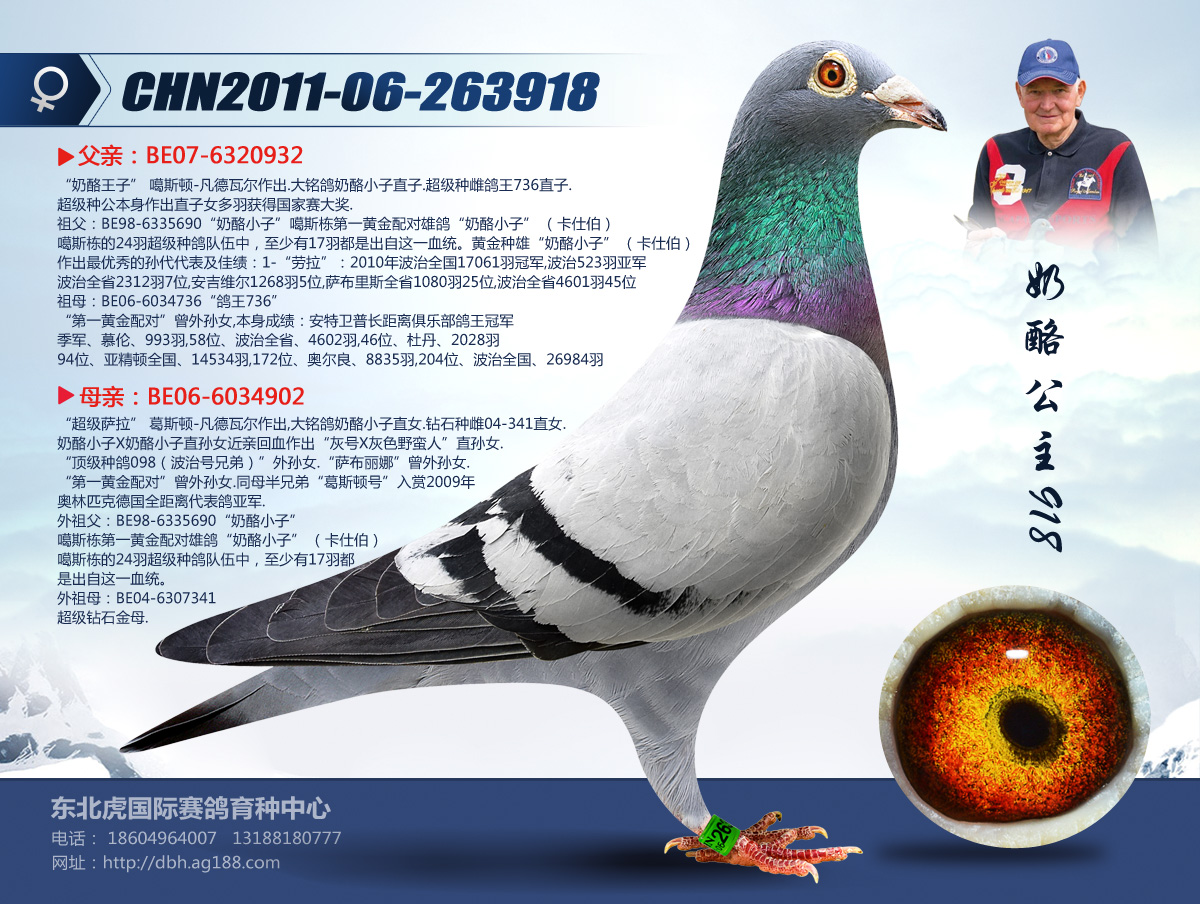 天门信鸽辉煌战绩震撼信鸽界，最新成绩公布