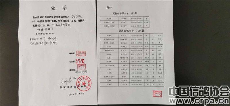 河北公棚最新通告发布
