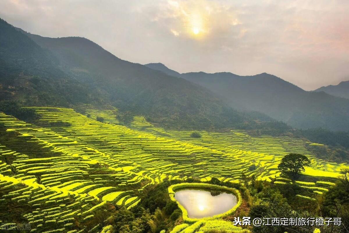 篁岭门票价格优惠政策揭秘，详解优惠细节，畅游篁岭美景！