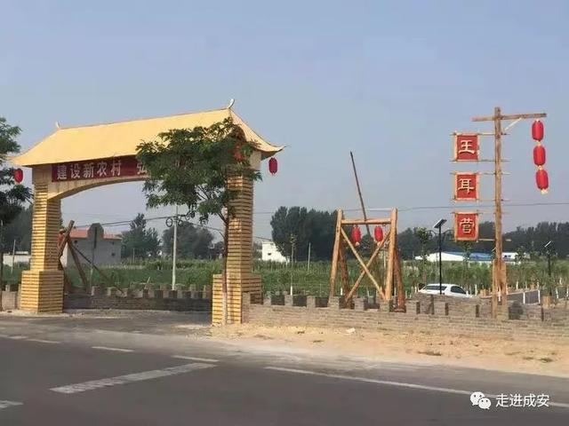 成安大树湾最新动态揭秘，展现崭新面貌的发展之旅