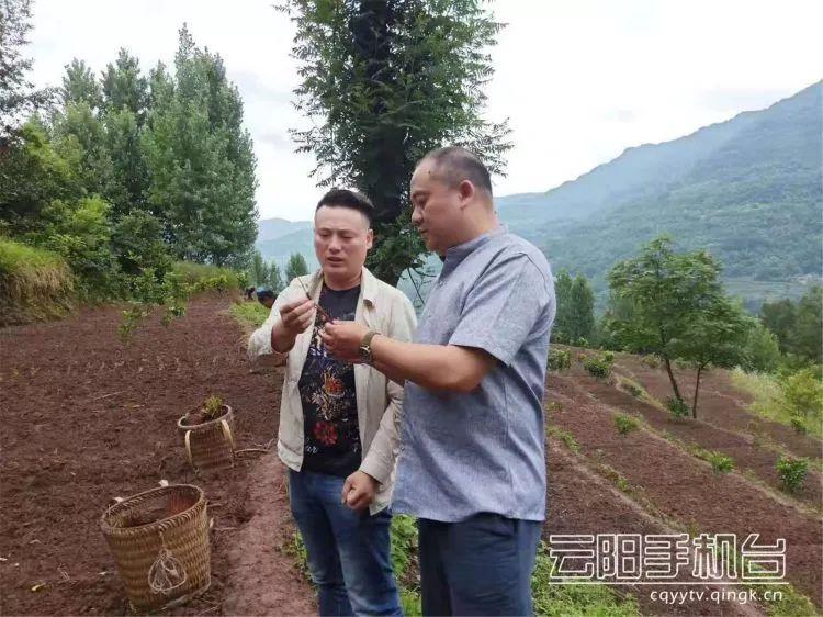 淮南制药厂最新招聘信息与职业发展机遇概览