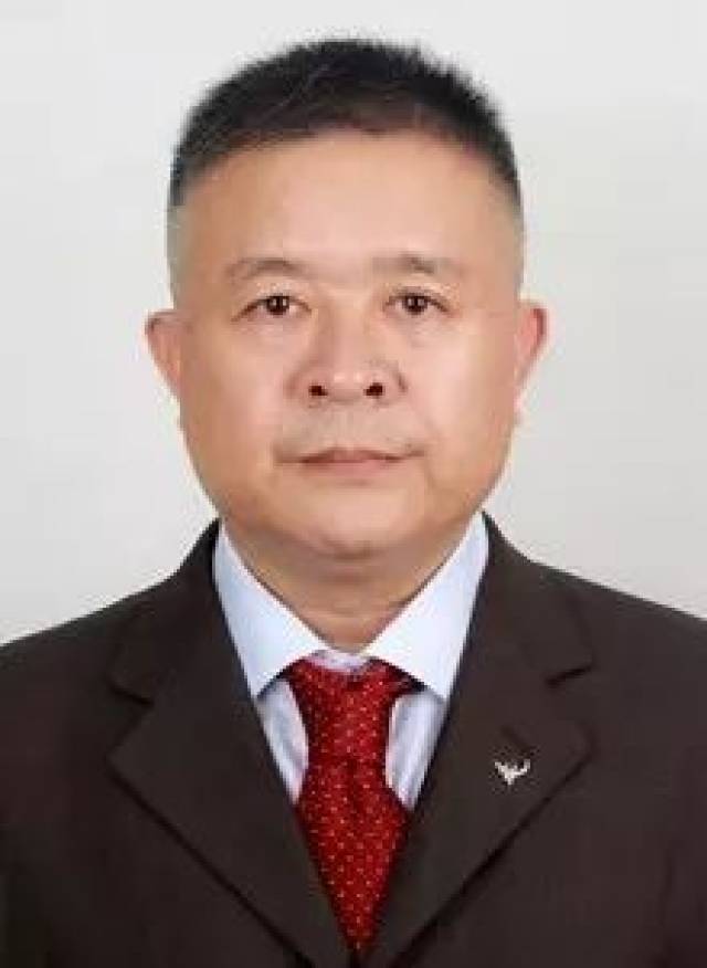 西双版纳干部公告揭秘，小巷深处的独特小店探秘