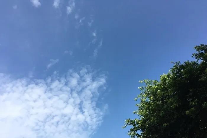 建筑砌块制造 第47页