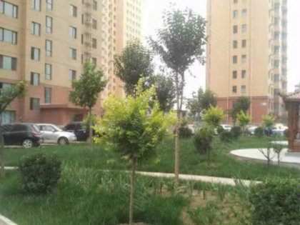 轻质建筑材料制造 第43页