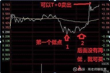 揭秘低价股票世界，一元股票大盘点👀