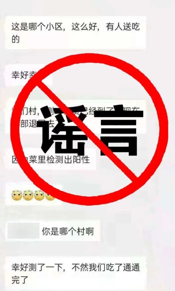 浙江最新疫情动态，小巷中的独特发现与更新报告