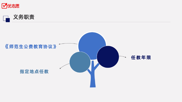 最新两免一补政策解读，全面解析政策细节与影响