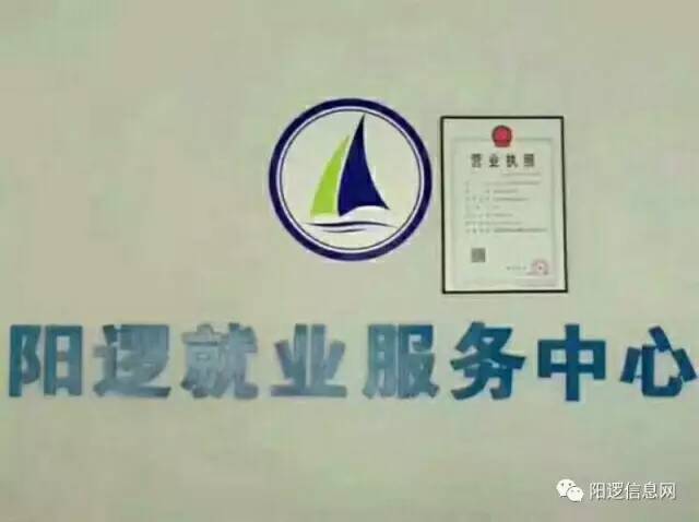 阳逻2025招聘信息，职场路上的小幸运与友情之花盛开的故事揭秘