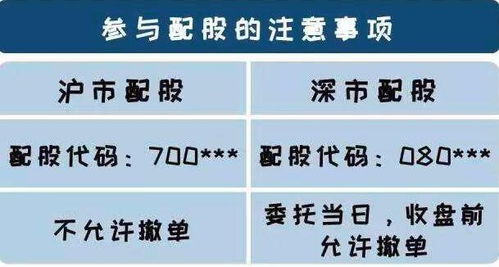 股票配股操作指南，小巷深处的投资秘籍揭秘