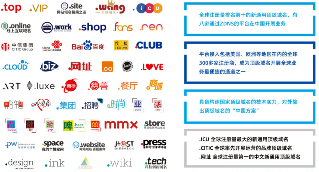 最新域名发布详解，注册步骤指南与技巧分享