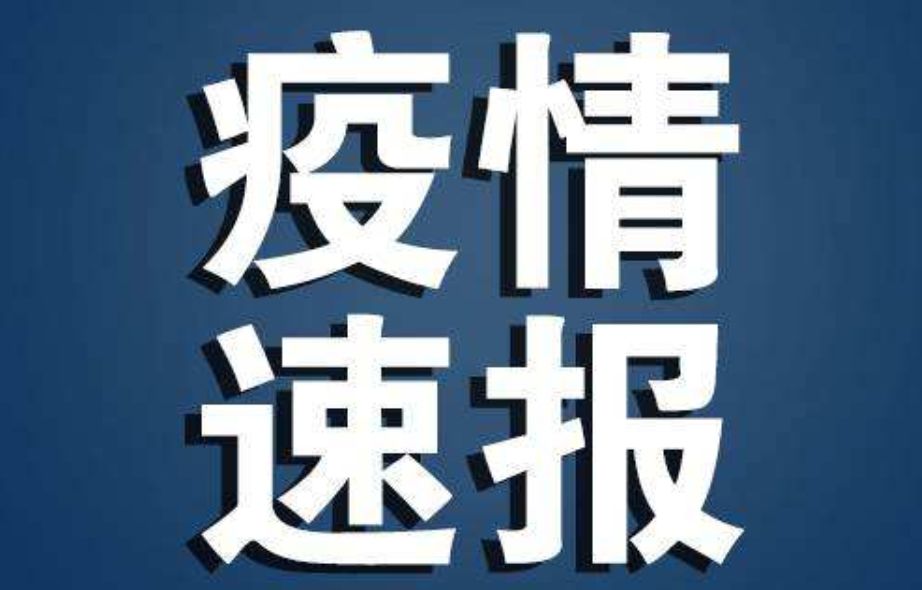 科技与生活的完美融合，疫情最新情况通报及高科技产品进展报告