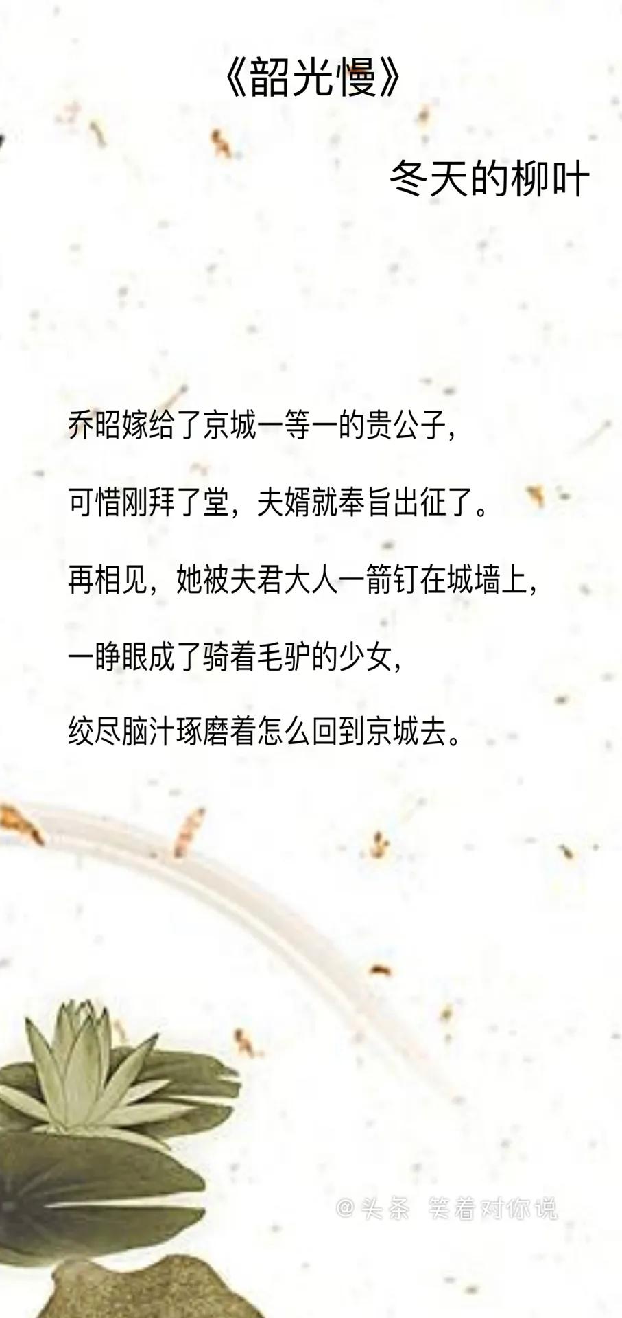 深宅之内的最新宅斗故事