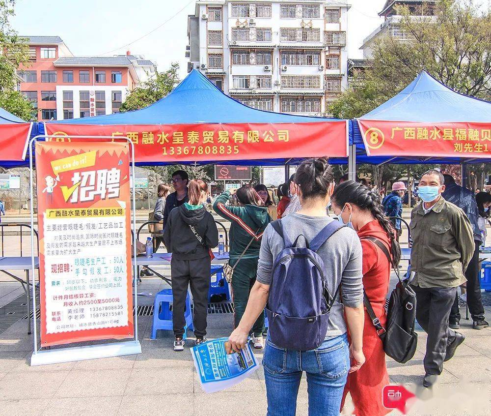 融水招聘信息大全，求职全步骤指南